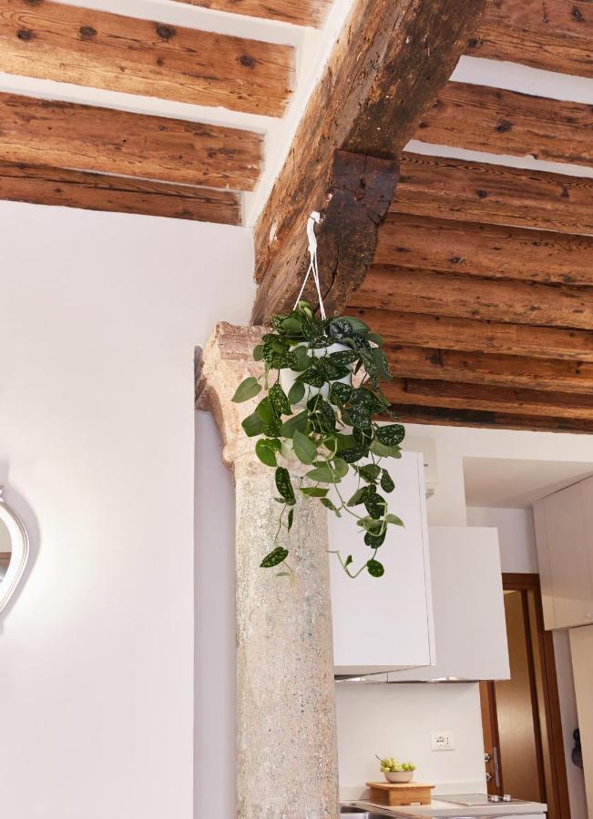 Rialto Apartment Near The Grand Canal Ac Wifi Venedig Exteriör bild
